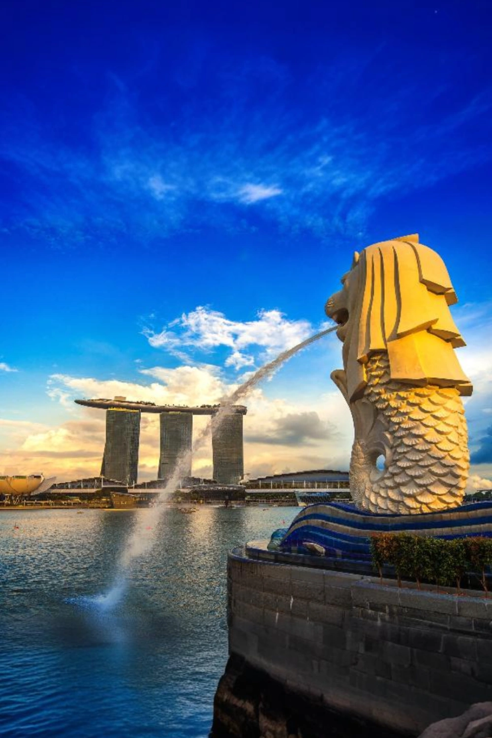 19 Singapore Family Fun Package 21x.webp